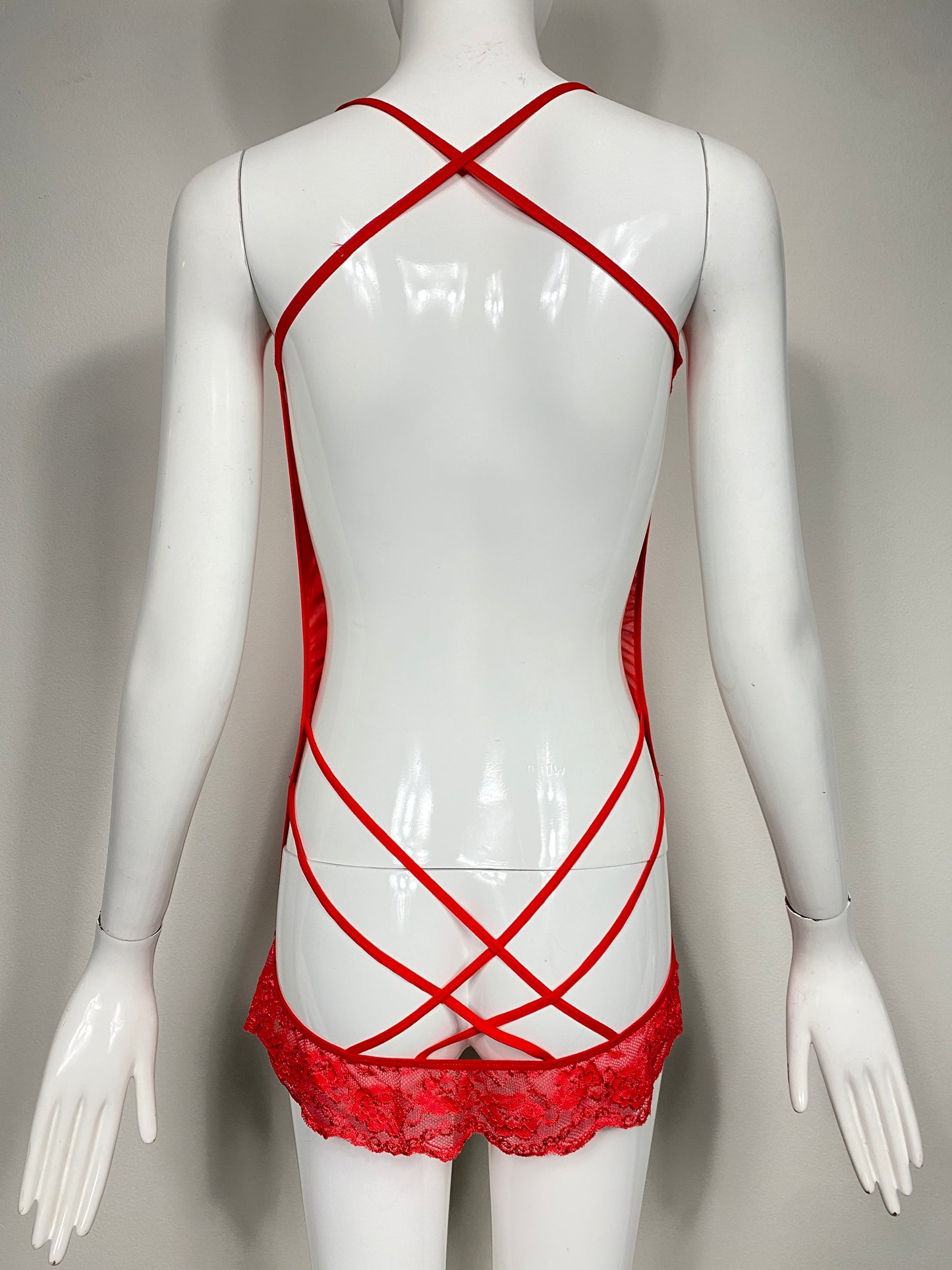 Red Mesh Lingerie Mini Dress